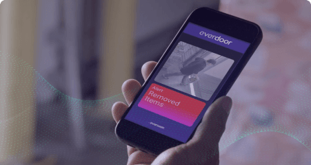 Loss Prevention Everdoor
